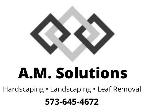 A.M. Solutions logo