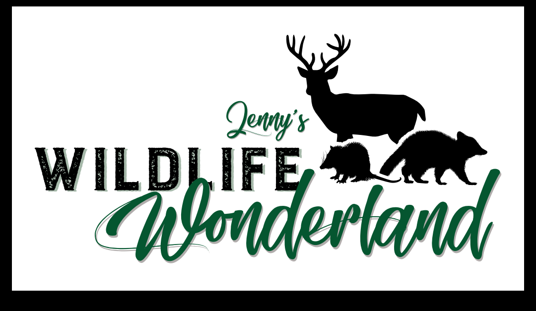 Jenny's Wildlife Wonderland logo