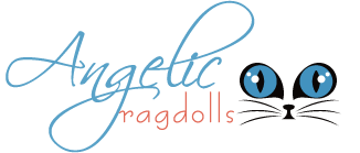 Logo for Angelic Ragdolls